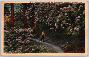 1952 TN-Tennessee, Rhododendron Trail, Great Smoky Mts. National Park, Postcard