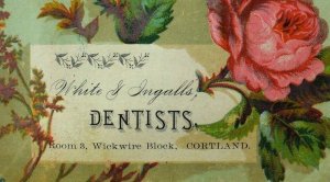 1870's-80's White & Ingalls Dentists, Nitrous Oxide Gas Gold Plates Card #2 F90