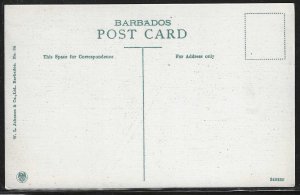 Queen's Park, Bridgetown, Barbados, Early Postcard, Unused