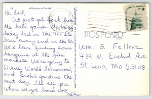 Animals~Alligators By Lake In Florida~Vintage Postcard