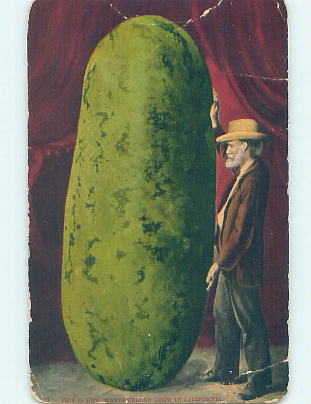 Divided-back EXAGGERATION GIANT WATERMELON Postmarked Oakland CA AD8321