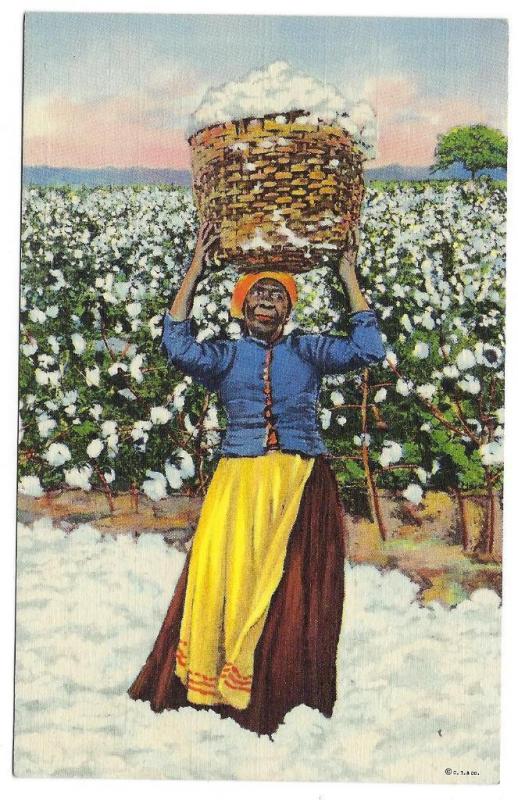 1941 Black Americana Postcard Drying Cotton (MM142)