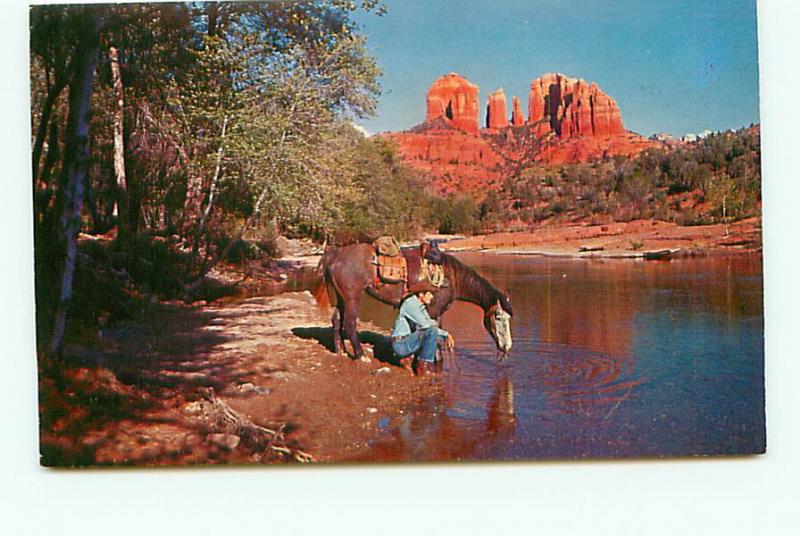 Old Vintage Posycards Horses Baldwin Crossing AZ # 1702A