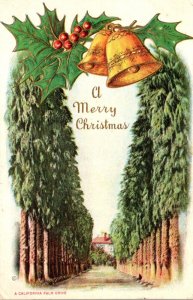 California Merry Christmas Showing A California Palm Drive 1916