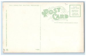 c1930's Fifteenth Street View Cigars Storefront Moline Illinois IL Postcard