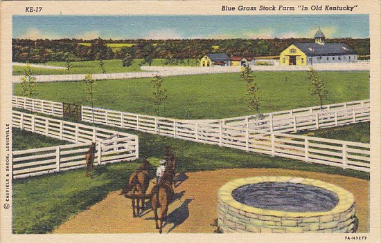 Kentucky Louisville Blue Grass Stock Farm Horses 1949 Curteich