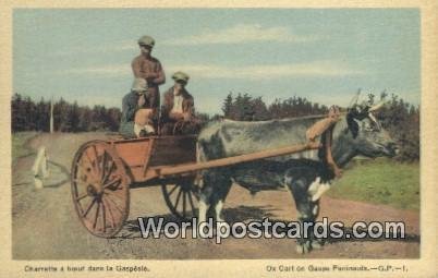 Charrette a baeuf, Gaspesian Ox Cart Gaspe Peninsula Canada Unused 