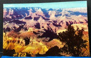 South Rim Grand Canyon National Park Vintage Postcard