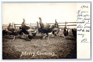 1906 Turkey Chicken Farm Merry Christmas Warwick PA RPPC Photo Postcard 