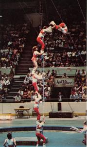 Ringling Brothers-Barnum & Bailey Circus. Teeterboard Tacticians