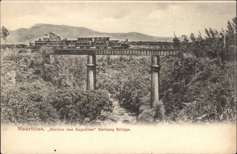 Mauritius Island RR Train Bridge Auguilles River c1910 Postcard