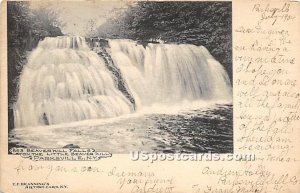 Beaverkill Falls - Parksville, New York