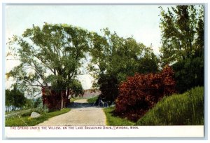 c1910s The Spring Under The Willow Lake Boulevard Winona Minnesota MN Postcard