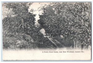 1909 Pretty Road Scene Near East Windham Catskill Mountain New York NY Postcard