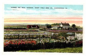 Postcard GARDEN SCENE Shenandoah Iowa IA AQ7252