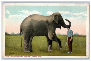 c1910's Babe Walbridge Park Elephant Toledo Ohio OH Unposted Vintage Postcard