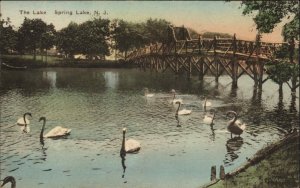 Spring Lake New Jersey NJ Swans on Lake Albertype Vintage Postcard