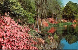 Alabama Mobile Scene In Bellingrath Gardens