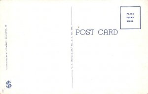 Mennonite & Amish People Lancaster County, Pennsylvania, USA Postcard