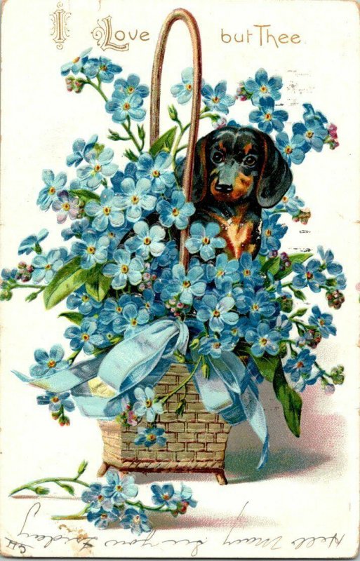 VTG Postcard Valentine Dashhound Dog 1907 Santa Maria Santa Barbara Calif   1158