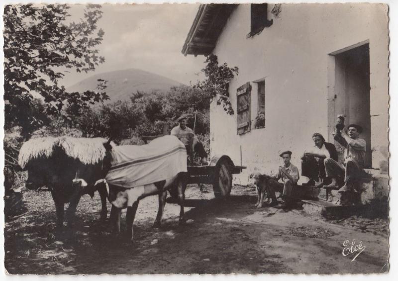 Social History, Rural Scene, Continental, With Ox Cart RP PPC, Biarritz 1938 PMK