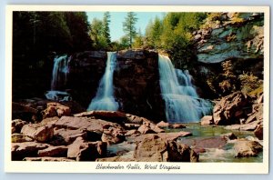 c1960 Tucker County West Virginia Postcard 65 Feet High Blackwater Falls Thomas