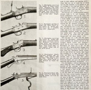 1931 Remington Rifle Array Partial Article American Rifleman LGADYC4