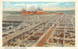 Stockyards, Denver, Colorado Livestock Sheep c1920s Vintage Postcard