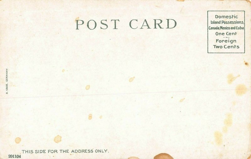 BIDDEFORD MAINE~McARTHUR LIBRARY 1900s POSTCARD 