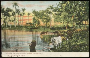 Habana. Paisaje Cubano. Cuban landscape at sunset. Cattle and horses. 1906