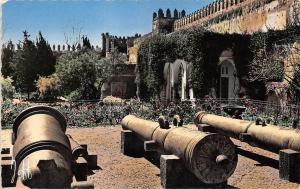 BR38602 Rabat un coin du jardin des oudais morroco