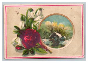 Vintage 1880's Victorian Trade Card Albrecht Piano Blasius & Sons Philadelphia