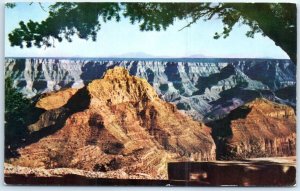 Postcard - From The North Rim Of The Grand Canyon - Arizona