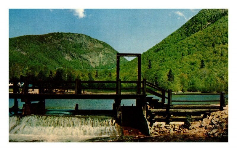 New Hampshire Postcard Mt Willard from Willey House Crawford Notch White MT VTG United States