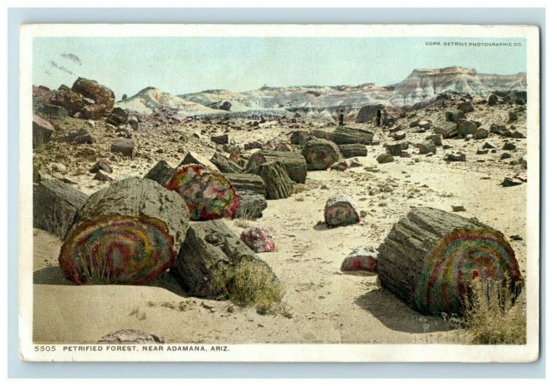 C.1910 Petrified Forest Adamana Arizona Vintage Postcard F96 