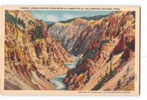 Yellowstone National Park Postcard 1930-1950 Grand Canyon From Lower Falls