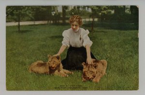 Lion Cubs