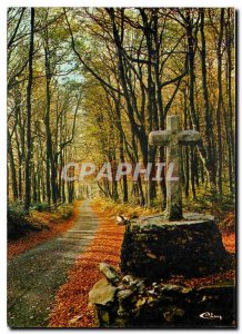 Modern Postcard Our Beautiful Old cross France in the autumn wood