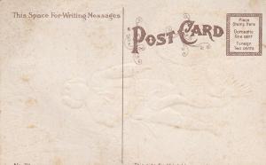 Thanksgiving Greetings - Handsome Boy with Turkey - DB