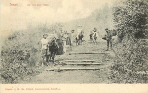 Vintage Postcard Natives & Pack Horses on Road Tosari East Java Indonesia