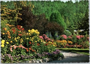 postcard Victoria, BC Canada - Butchart Gardens - Dahlia Walk