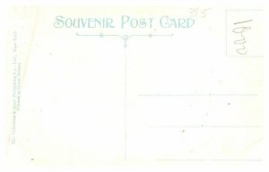 Florida  Palatka ,Lemon street looking East 