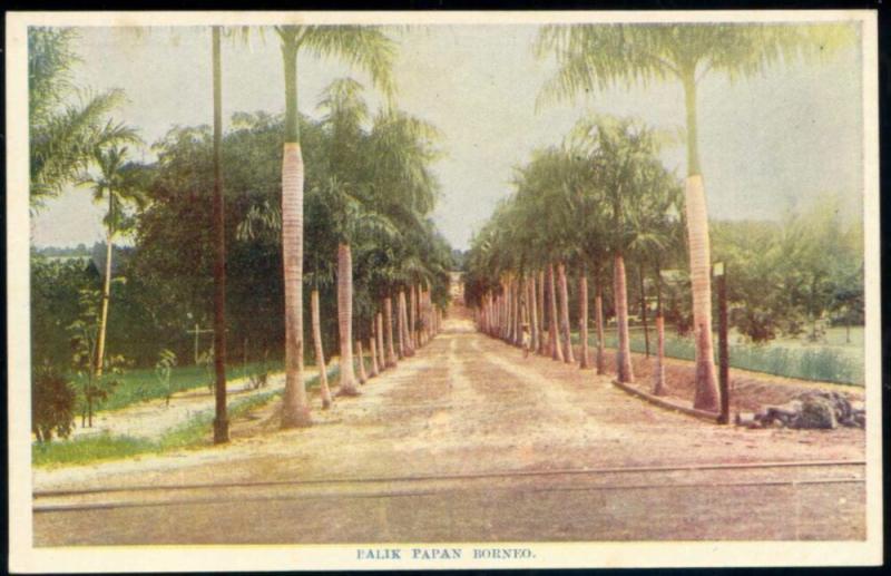 indonesia, BORNEO BALIKPAPAN, Street with Palm Trees (1920s)