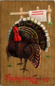 Postcard Thanksgiving Greetings Turkey Thanksgiving Proclamation 1909 R3