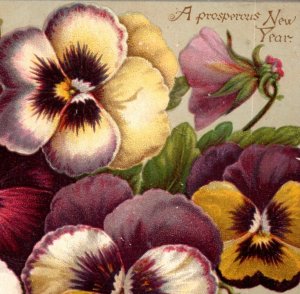 1880s Victorian New Year's Card Lovely Pansies F92