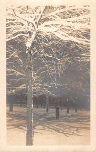 Elmira New York Snow Scene Forest Real Photo Antique Postcard K11883