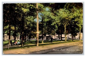 Flatiron Park Ashtabula Ohio OH  UNP DB Postcard N24