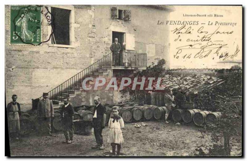 Vintage Postcard Folklore Wine Vineyards Champagne pressing