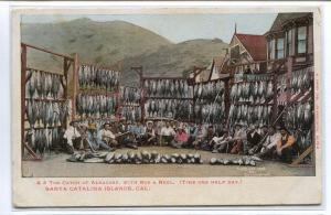 Albacore Tuna Fishing Catch Rod & Reel Catalina Island California 1907c postcard