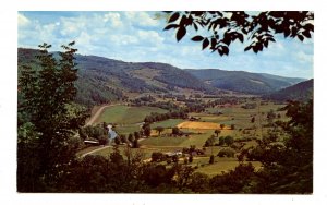 NY - Catskills, Liberty. Summer in the Valley